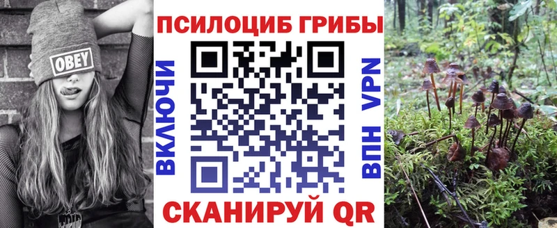 где можно купить наркотик  Макарьев  Галлюциногенные грибы ЛСД 